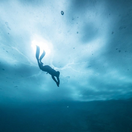 Un monde aquatique insoupçonné