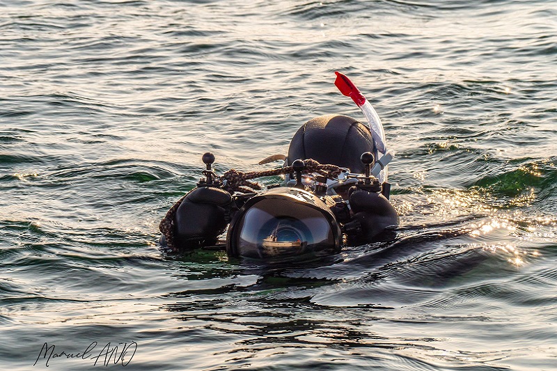 Manuel filming in the water